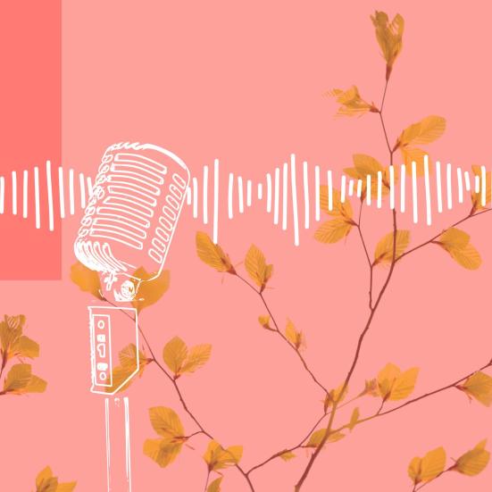 mikrofon sender lydbølger